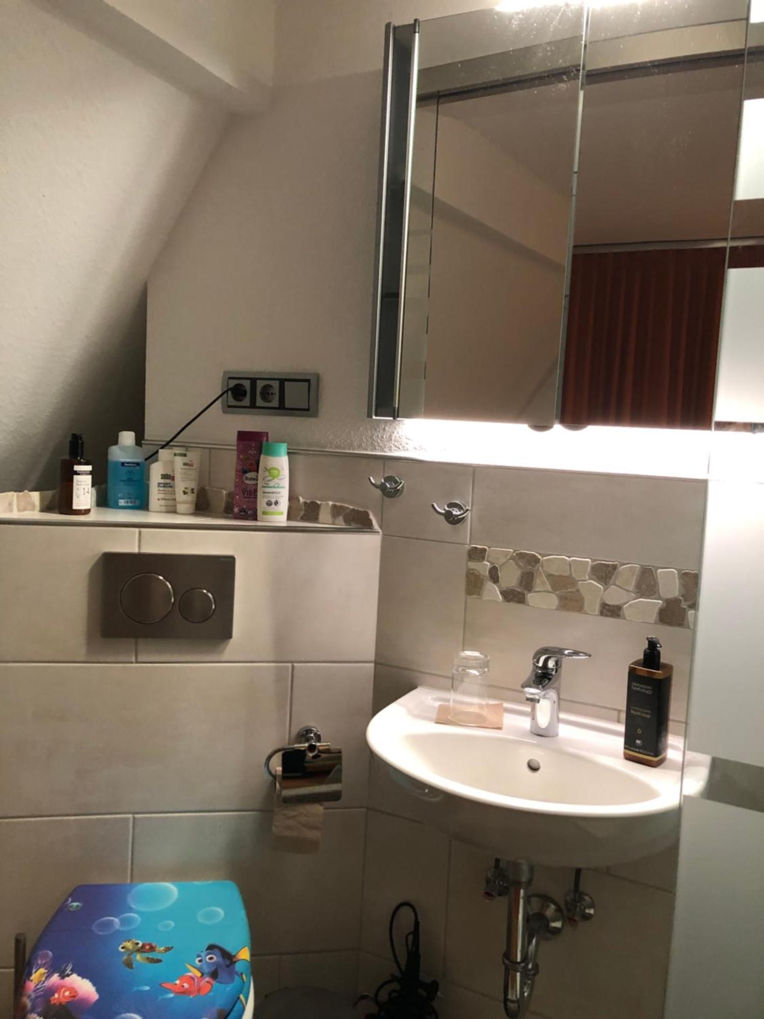Aussichtszimmer Mit Modernem Glasbad Und Balkon Koblenz  Exterior photo